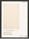 Nitzschia cursoria (Donk.) Grun. (de-Toni-Nr.: Genus 47, Species 2089) Zeichnungen Sammlung Grunow (NHMW-BOT-W0372034)